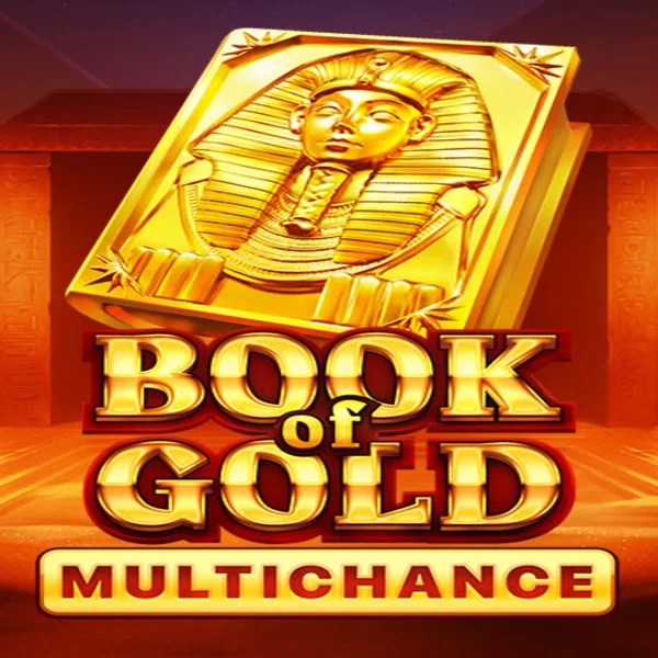 Official Slots logo: Book of Gold Multichance by Playson at Winnita casino